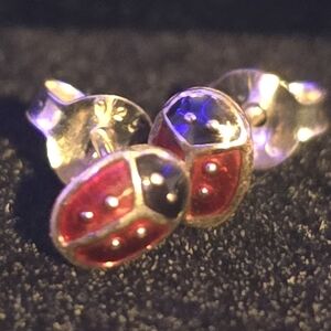 Red and Black Ladybug Stud Earrings